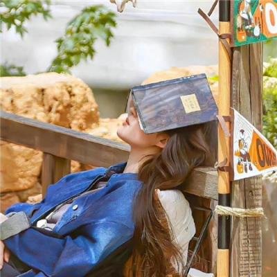 聪明的一休之反斗公主