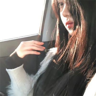 酷狗上学记